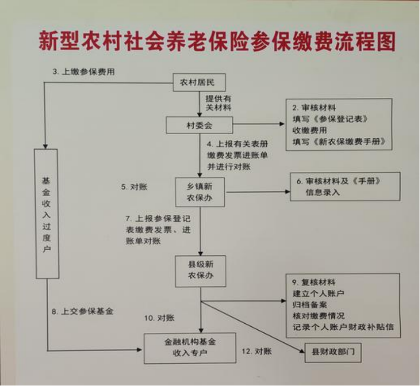 辽阳农村医保和社保有什么区别(农村医保跟社保的区别)
