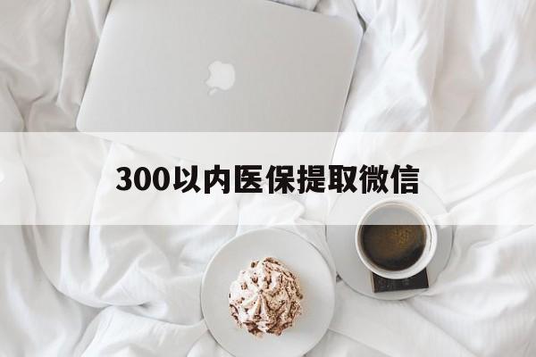 辽阳300以内医保提取微信(小额医保300以内提取)